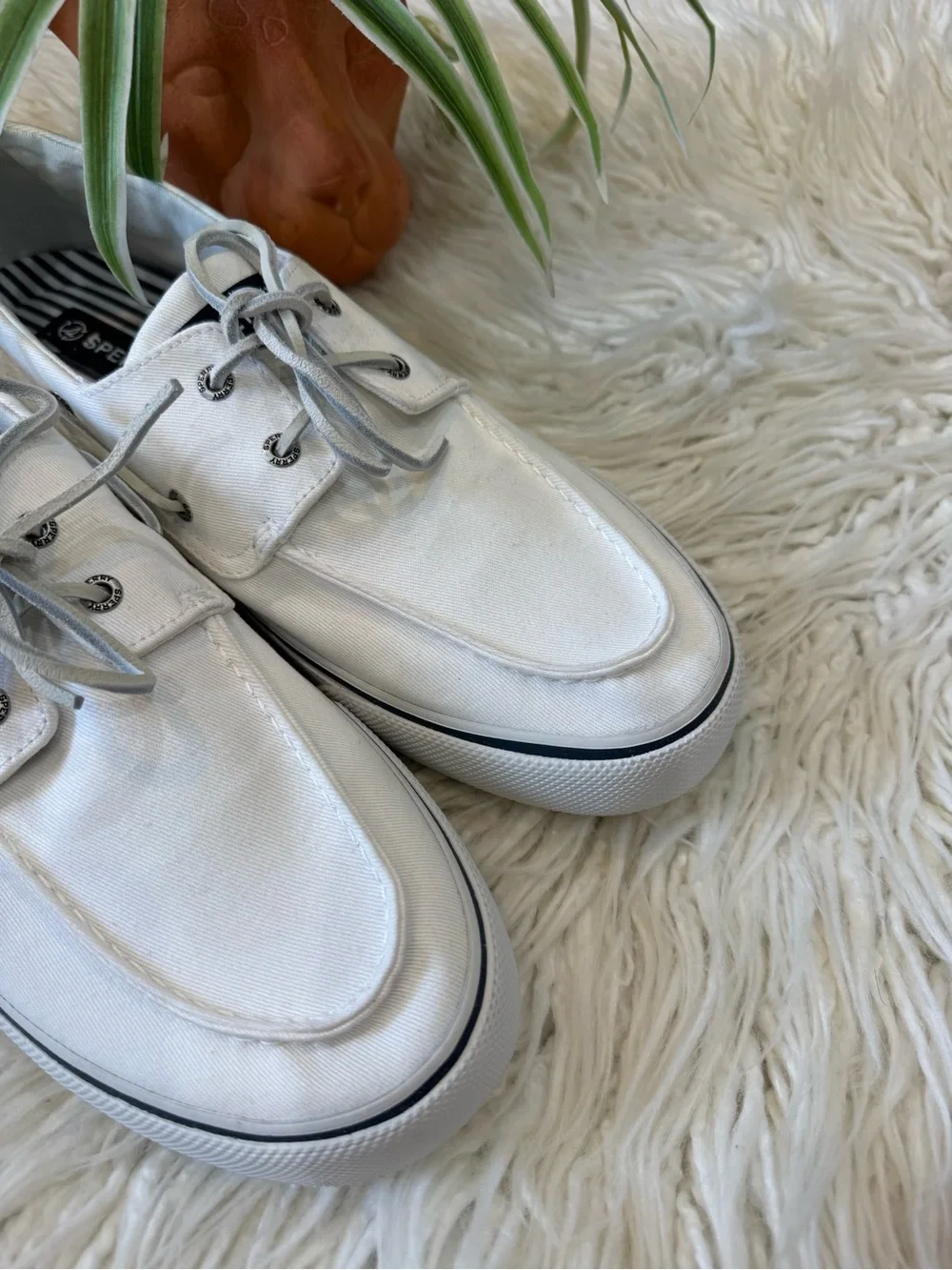 Sperry classic canvas